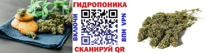 как найти закладки  Березники  Cannafood марихуана 