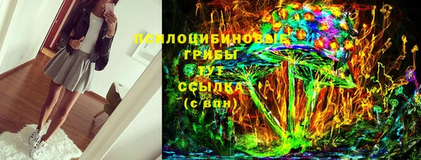 молекула духа Алексеевка
