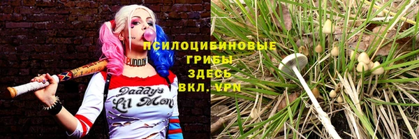 крисы Алзамай