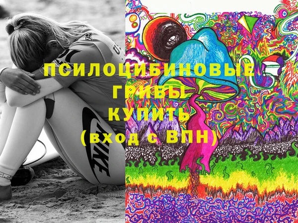 молекула духа Алексеевка