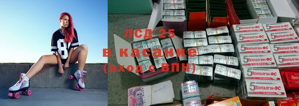 крисы Алзамай