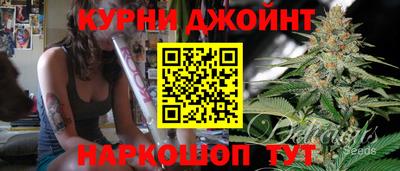 гашик Бузулук