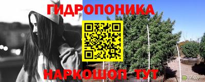 гашик Бузулук
